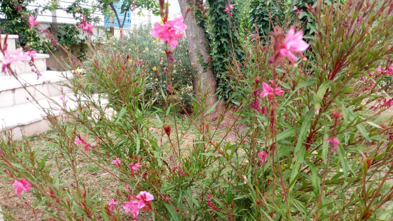 מאטינאטה B&B Conca Del Faro מראה חיצוני תמונה